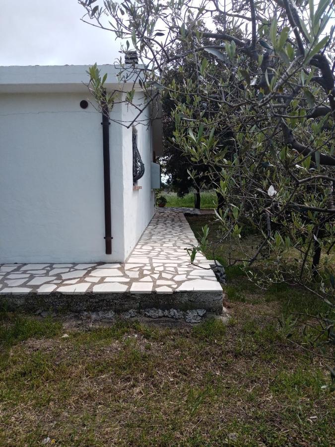 Villa Lupino Orosei Esterno foto