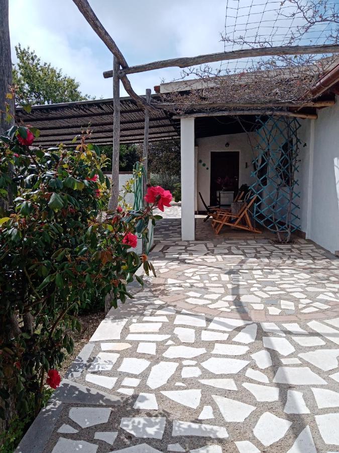 Villa Lupino Orosei Esterno foto